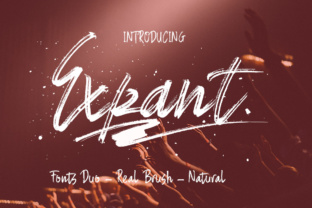 Expant Font: A Hand-Painted Brush Typeface with Bonus Styles for Creative Projects