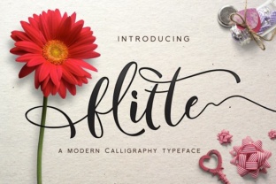 Flitte: Where Handwritten Warmth Meets Professional Versatility
