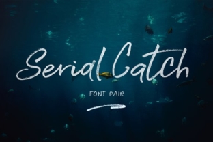 Serial Catch: A Handcrafted Font Built for Real Projects