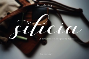 Silicia: A Modern Script Font for Personal and Professional Design