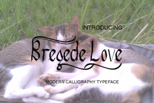 The Art of Bregede Love: A Handcrafted Calligraphy Script for Modern Design